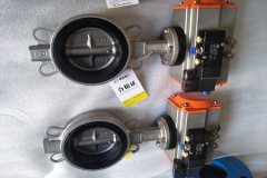 氣動(dòng)蝶閥的結(jié)構(gòu)形式和特點(diǎn)？